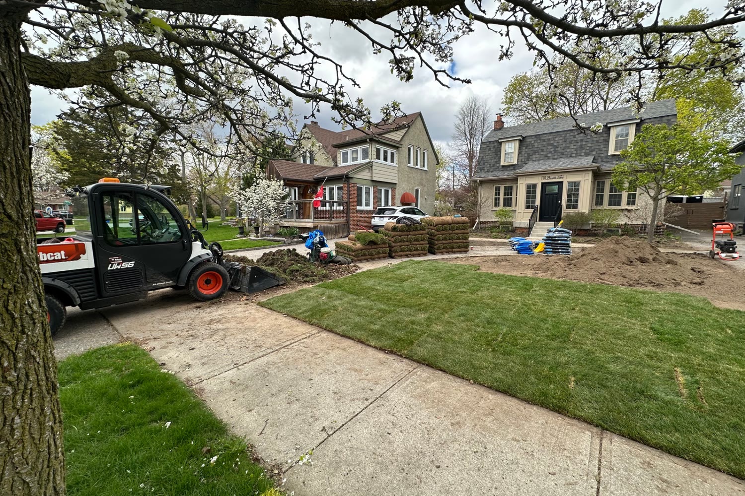 Residential sod installation in Brantford with a Bobcat utility vehicle, fresh sod rolls and a landscaped front yard.