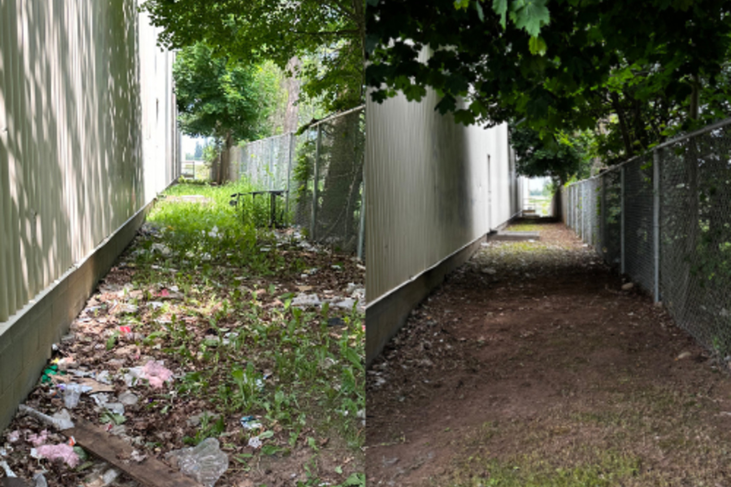 Before-and-after outdoor cleanup along a commercial building in Brantford — overgrown weeds and litter removed, leaving a clear, tidy path.