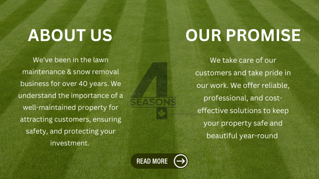 4 Seasons Landscaping photo 6