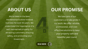 4 Seasons Landscaping photo 5